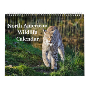 Noord-Amerikaanse wilde dieren Kalender