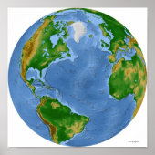 Noord-Atlantische vegetatiekaart Poster (Voorkant)