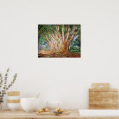 noord - avenue of Indian Rubber Trees , Peradeniya Poster (Keuken)