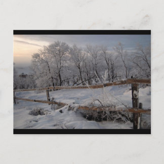 Noord-bevroren Briefkaart