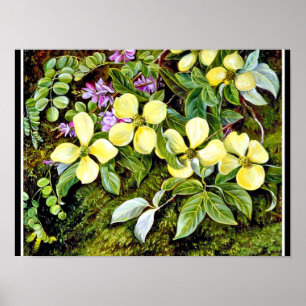 Noord - Bloemen van een Bloedboom en een Indigopla Poster