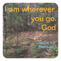 Noord-bossen trail in de vroege herfst