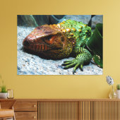 Noord-Caiman Lizard Dracaena Guianensis Canvas Afdruk (Insitu (Woonkamer))