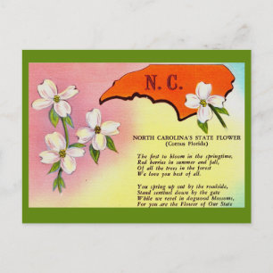 Noord-Carolina Staatsbloem Ansichtkaart Briefkaart