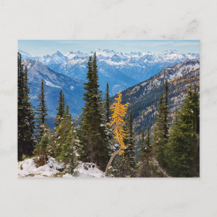 Noord-Cascade-gebergte Wenatchee Briefkaart