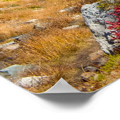 Noord-Cascades najaarkleur Poster (Hoek)