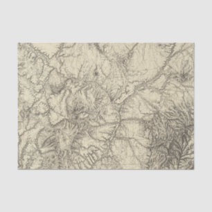 Noord-Centraal-Nieuw Mexico Tissuepapier