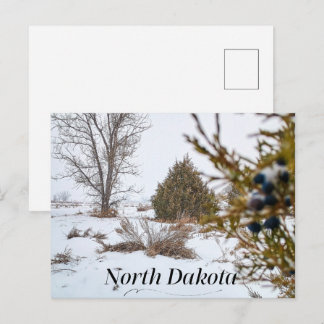 Noord-Dakota winter sneeuwstorm Briefkaart