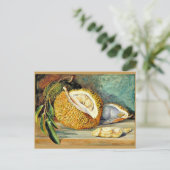 Noord - Durian, fruit van een grote boom, Briefkaart (Staand voorkant)