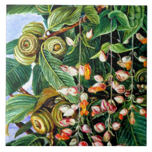 Noord - Een Darjeeling-eik, fijne kunst, Tegeltje
