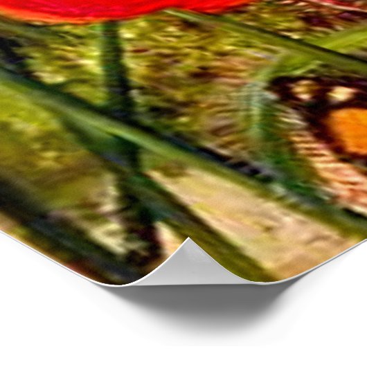 Noord - een Zuid - Afrikaanse soennidew Poster (Hoek)