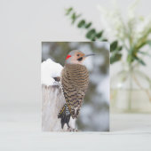 Noord-fasker man in de winter briefkaart (Staand voorkant)