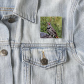 Noord-flikkering, Colaptes auratus, rood gehakt Vierkante Button 5,1 Cm (In situ)