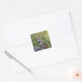 Noord-flikkering, Colaptes auratus, rood gehakt Vierkante Sticker (Envelop)