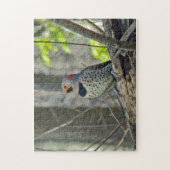 Noord-gele flikker legpuzzel (Verticaal)