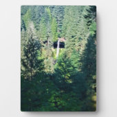 Noord-Herfsten, OF Fotoplaat (voorkant)