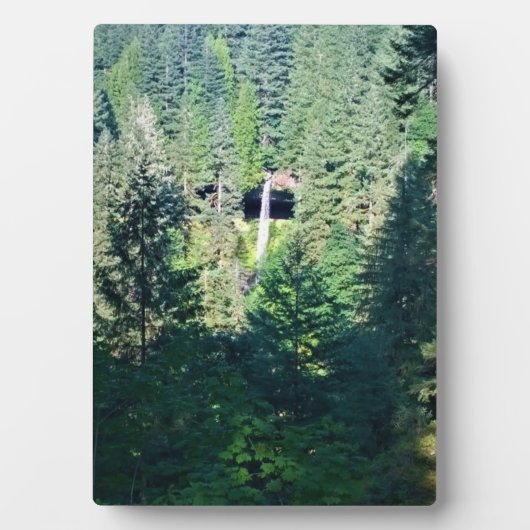 Noord-Herfsten, OF Fotoplaat (voorkant)