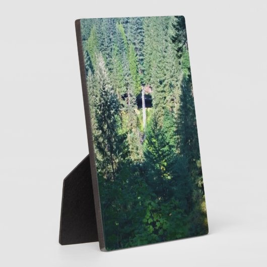 Noord-Herfsten, OF Fotoplaat (Zijkant)