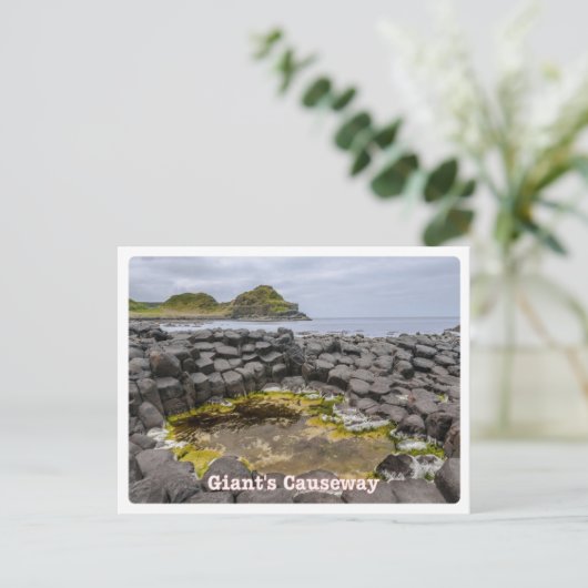Noord-Ierland - Causeway van Giant - Briefkaart (Staand voorkant)