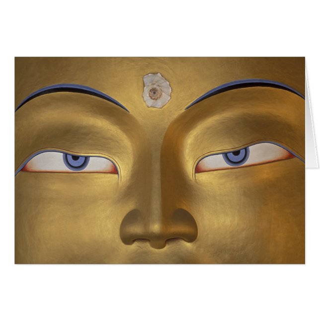 Noord-India, Ladakh, Thikse gompa (Voorkant Horizontaal)