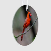 Noord-kardinaal acrylversiering ornament (voorkant)