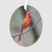 Noord-kardinaal acrylversiering ornament (voorkant)