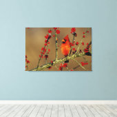 Noord-Kardinaal mannetje, IL Canvas Afdruk (Insitu (Houten vloer))