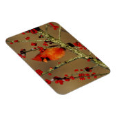 Noord-Kardinaal mannetje, IL Magneet (Rechterzijde)