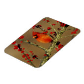 Noord-Kardinaal mannetje, IL Magneet (Linkerzijde)