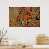 Noord-Kardinaal mannetje, IL Poster (Keuken)