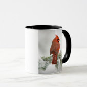 Noord-kardinaal mannetje op Blue Atlas Cedar Mok (Voorkant rechts)