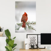 Noord-kardinaal mannetje op Blue Atlas Cedar Poster (Thuiskantoor)