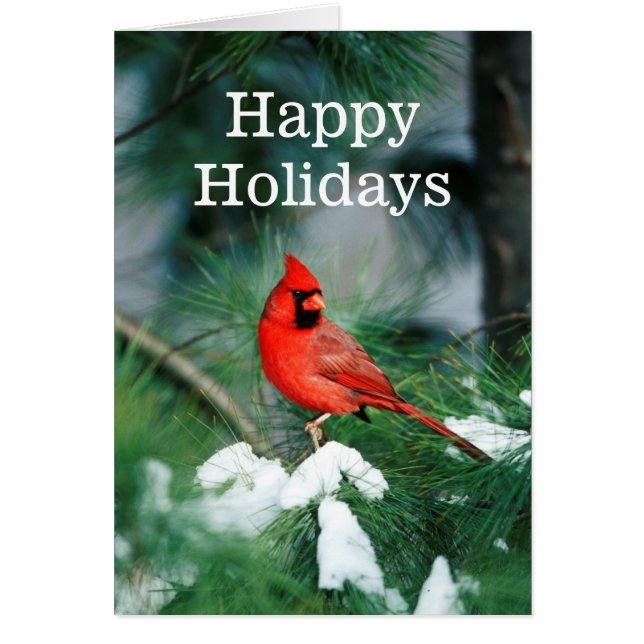 Noord kardinaal mannetje op boom, IL (Voorkant)