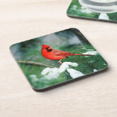 Noord kardinaal mannetje op boom, IL Drankjes Onderzetter (Linkerzijde)