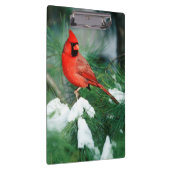 Noord kardinaal mannetje op boom, IL Klembord (Rechts)