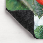 Noord kardinaal mannetje op boom, IL Muismat (Hoek)