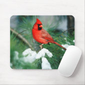 Noord kardinaal mannetje op boom, IL Muismat (Met muis)