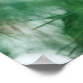 Noord kardinaal mannetje op boom, IL Poster (Hoek)