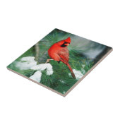 Noord kardinaal mannetje op boom, IL Tegeltje (Zijkant)