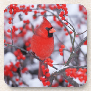 Noord-Kardinaal mannetje, Winter, IL Bier Onderzetter