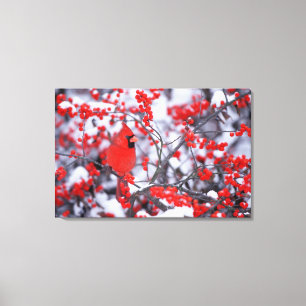 Noord-Kardinaal mannetje, Winter, IL Canvas Afdruk