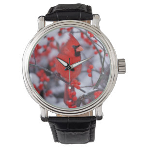 Noord-Kardinaal mannetje, Winter, IL Horloge