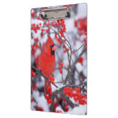 Noord-Kardinaal mannetje, Winter, IL Klembord (Links)