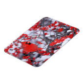 Noord-Kardinaal mannetje, Winter, IL Magneet (Linkerzijde)