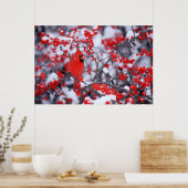 Noord-Kardinaal mannetje, Winter, IL Poster (Keuken)