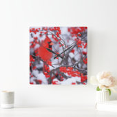 Noord-Kardinaal mannetje, Winter, IL Vierkante Klok (Huis)