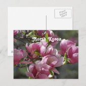 Noord-Korea Magnolia Briefkaart (Voorkant / Achterkant)