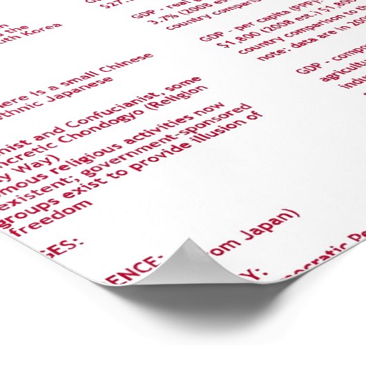 Noord Korea Poster (Hoek)