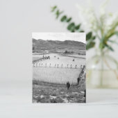 Noord-Koreaanse gevangenen_OorlogsAfbeelding Briefkaart (Staand voorkant)