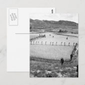 Noord-Koreaanse gevangenen_OorlogsAfbeelding Briefkaart (Voorkant / Achterkant)